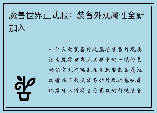 魔兽世界正式服：装备外观属性全新加入